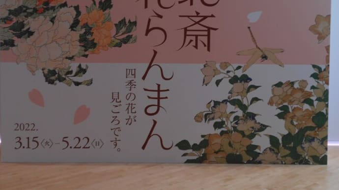 すみだ北斎美術館「花らんまん」展を見てから散策・江戸博の桜は満開でした(2022.3.29)@すみだ北斎美術館(2022.3.15~5.22)
