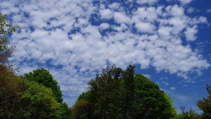 中層に出来る雲