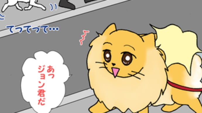 顔見知りワンコなんだけど・・・