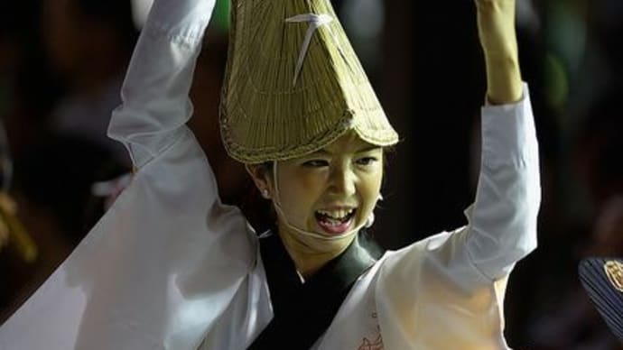 聖書から阿波踊りまで・・今朝の発見動画いろいろ　ピアノ弾き語りの犬など　
