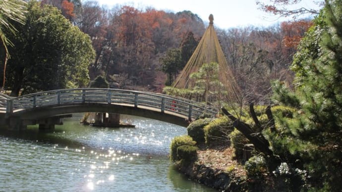 薬師池公園の冬景色