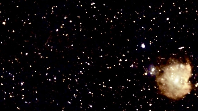 電視観望の記録4011(クラゲ星雲とモンキー星雲)