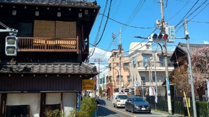 春の根津散策