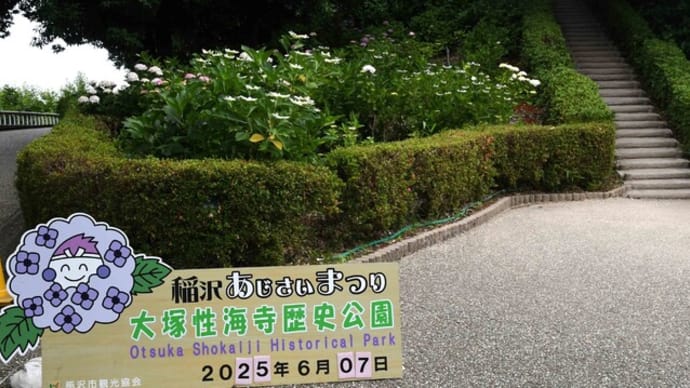 水無月の花(稲沢あじさい祭り-2)