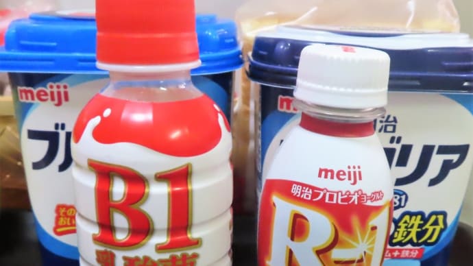東大基礎研究・B‐1乳酸菌・飲んでみた