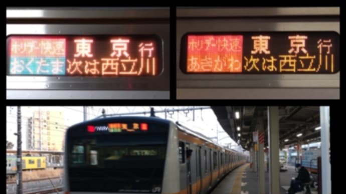 ホリデー快速 おくたま&あきかわ