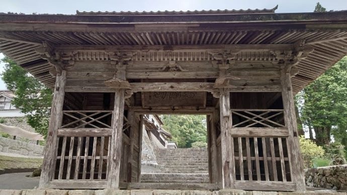 シャクナゲの咲く寺、本山寺