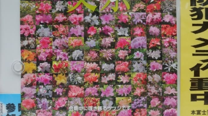 つつじまつり