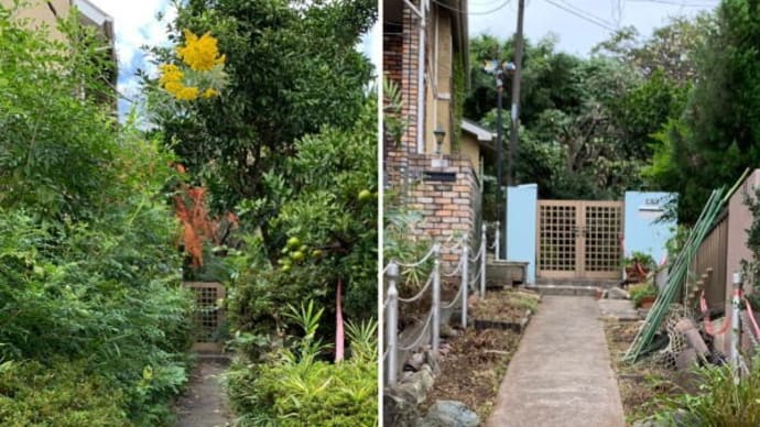 一時的に空き家となった玄関アプローチ植木や雑草の整理作業