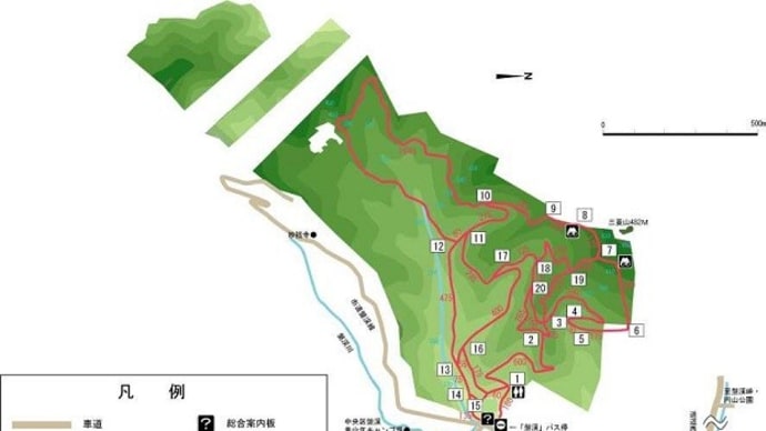 春を探して in 盤渓市民の森