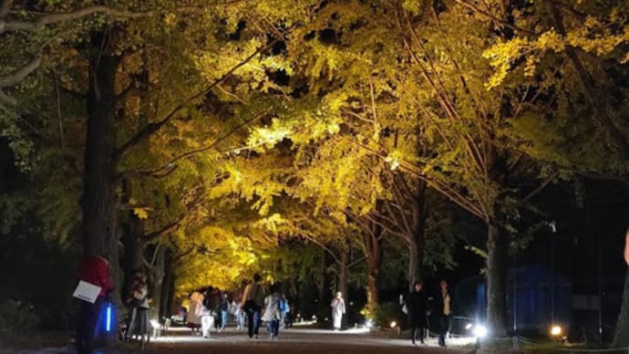 秋の夜散歩