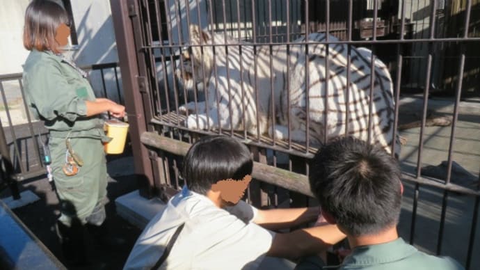 東武動物公園に行っちゃうぞ！（その６）獣医師体験・パート１