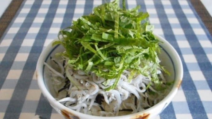 シラス丼でランチ。<゜)))彡