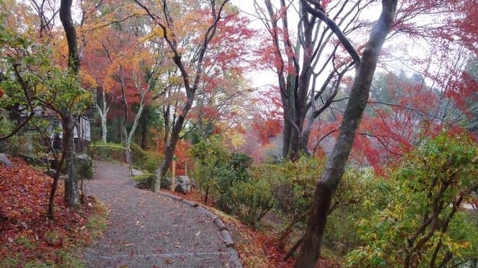 令和の春風萬里荘より御礼