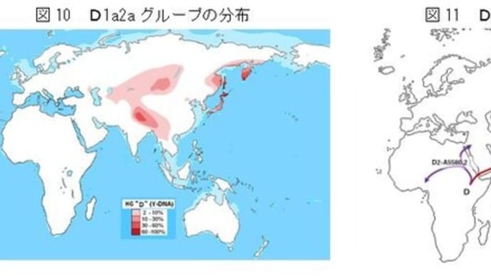 「縄文ノート43 DNA分析からの日本列島人起源論」の紹介