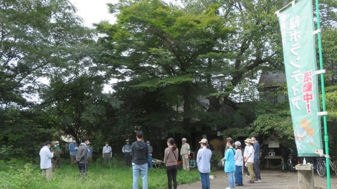 定例作業を行いました:9月4日(日)