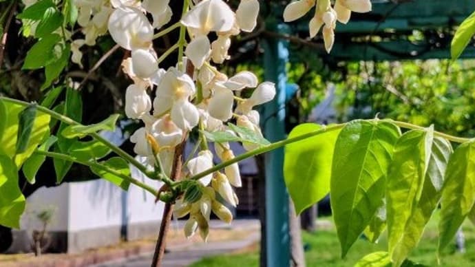 株式投資