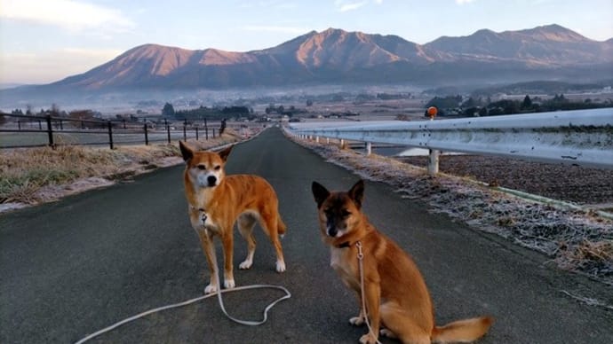 冬休み犬連れ車中泊の旅・4日目「尾ノ上Ryokan」