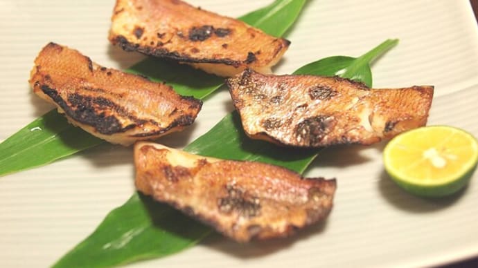レンコ鯛の西京漬けと醤油みりん漬けの試食