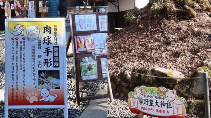 熊野皇大神社で 犬猫参り猫みくじ