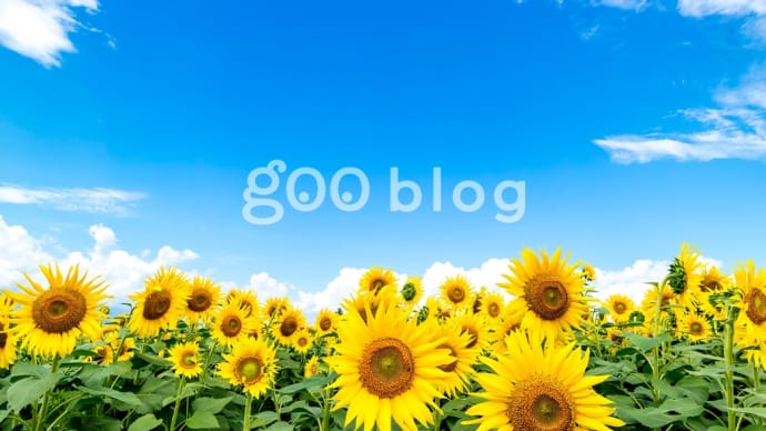 空爆受けた劇場で生存者が確認去れたと言われてもね。