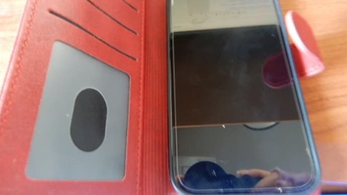無事新しいスマホに!ミニトマトやピーマンの冬剪定