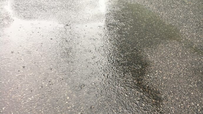 梅雨を切り裂く青い稲妻