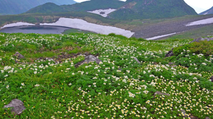 7月初め、鳥海山で雨を見た。後編(2016年7月2日)とその後。