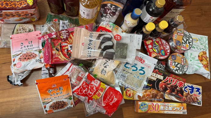 早朝無事シンガポール到着。