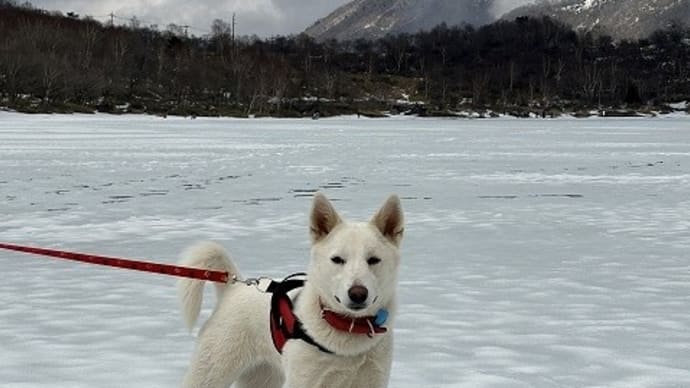 赤城山で雪遊び