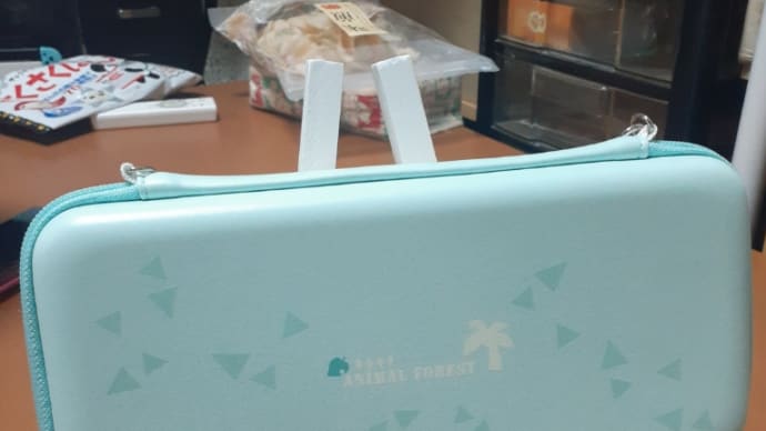 叔母さんからのプレゼント