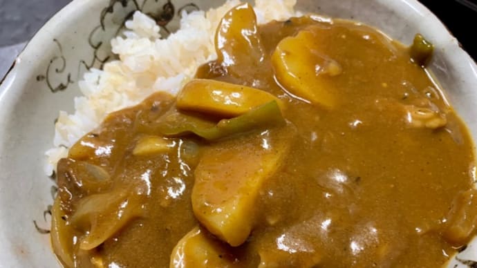 一日冷蔵庫で寝かせたカレーが♪美味しい~(pq・v・)+°
