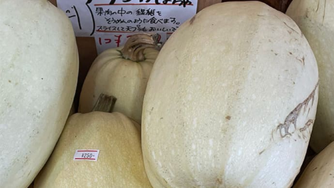 【謎のオモシロ野菜〜ソーメンカボチャ】