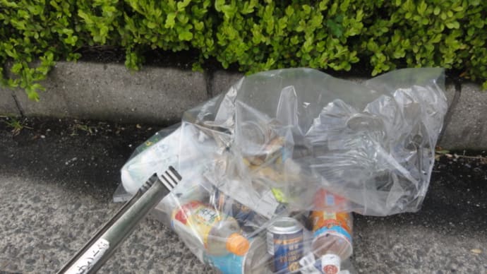 「こ、この~ 金髪...マンチカン野郎!」