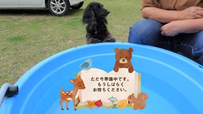 冷やし菊乃 準備中