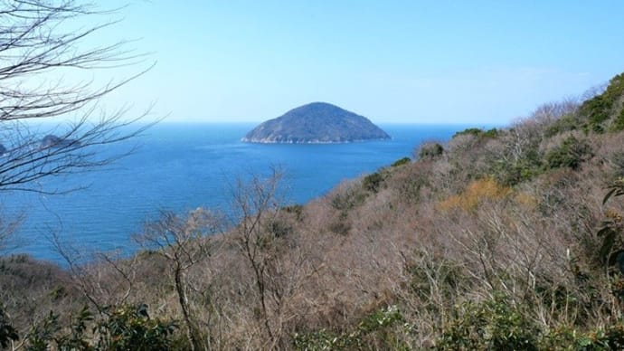 クスドイゲの群生