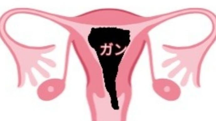 調整入院四日目▶わりと順調?