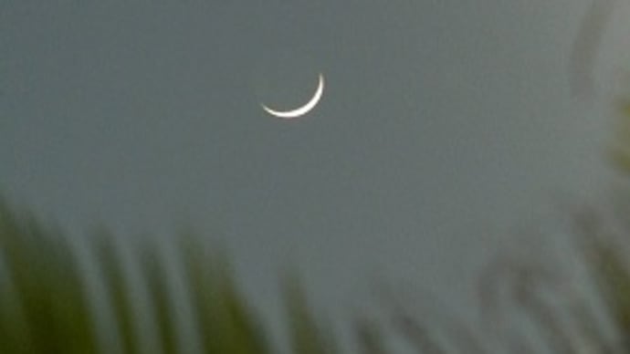 丸6年の三日月