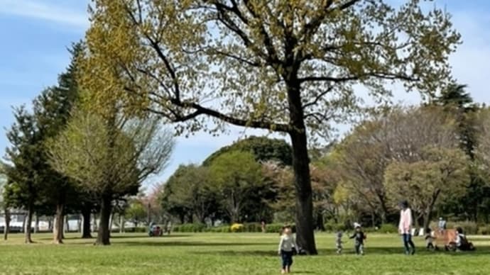 「武蔵国分寺公園で太極拳」