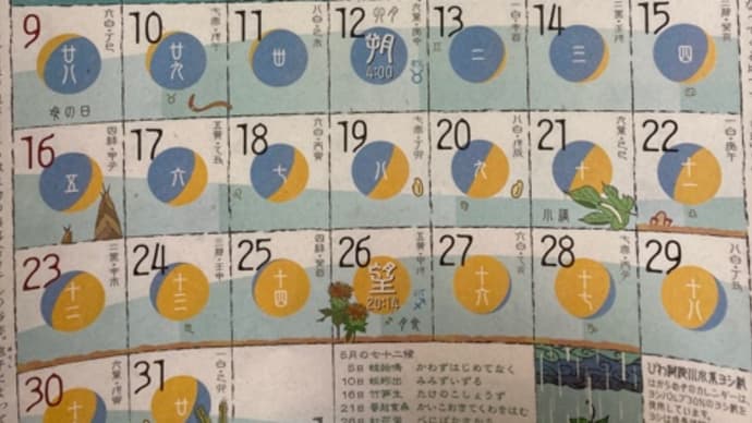 ◉5月の出没予定です◉