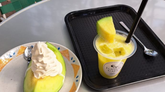 西島園芸団地でメロンを食べる。