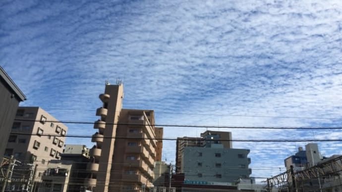 秋空にいわし雲が浮かんでました
