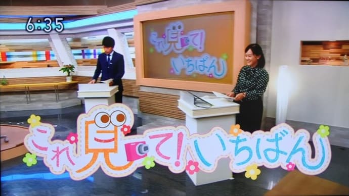 「これ見て!いちばん」0220放送決定~美味しいウツボ