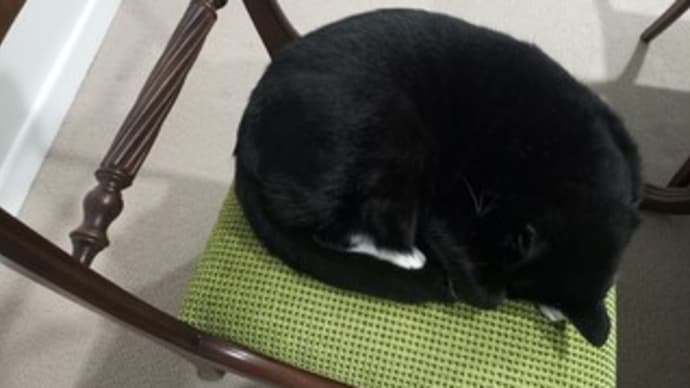 飼い主は学ぶ