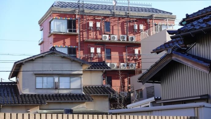 散歩写真 1107