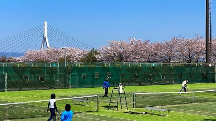 竹ヶ端には、春の桜が満開、学校が始まって学生がいなくなったテニスコート