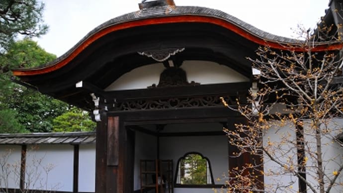 京の冬の旅 妙心寺 天球院