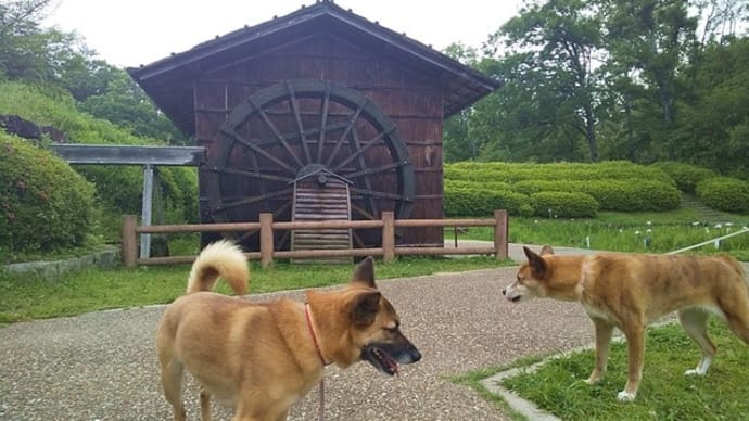 6月入って最初のお休み。