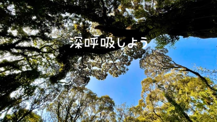 照葉樹の森にハートが。