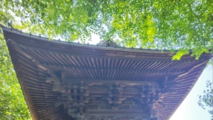 ゴールデンウィークは京都観光